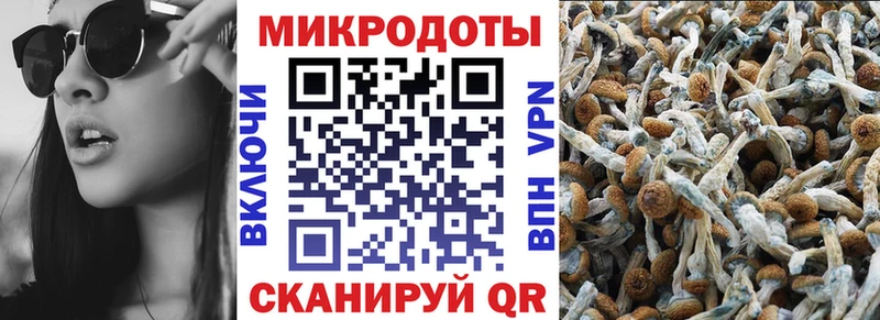 Псилоцибиновые грибы Psilocybe  hydra маркетплейс  Калининец 